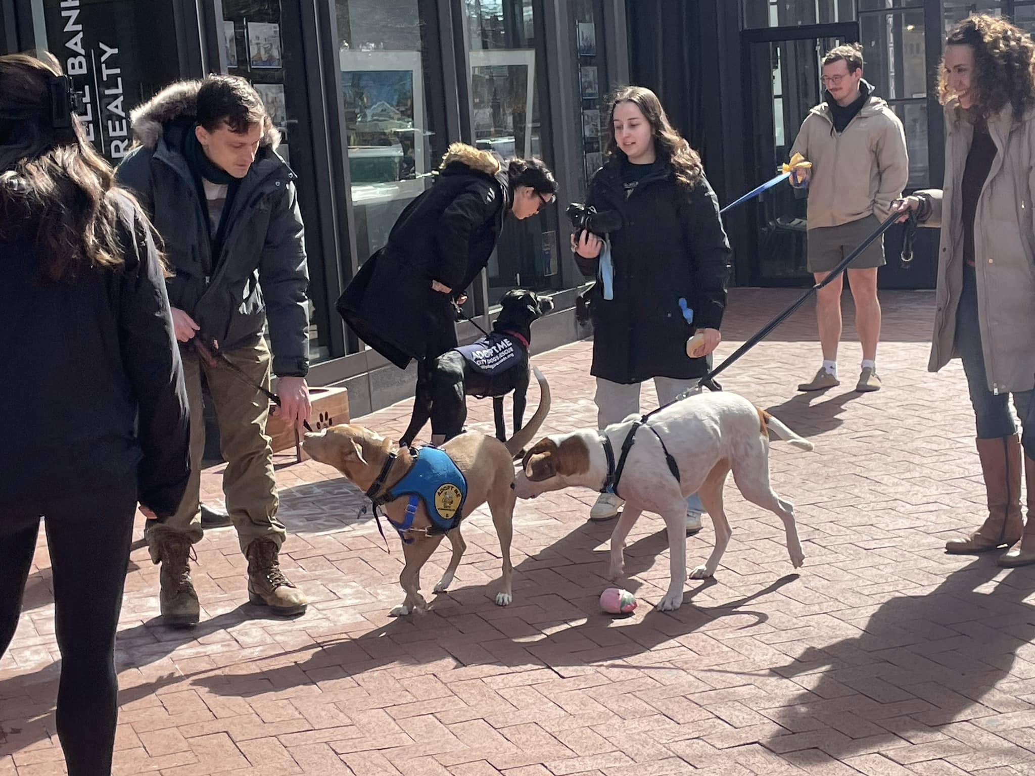 494008899_1207344851396038_8188475651380538870_n